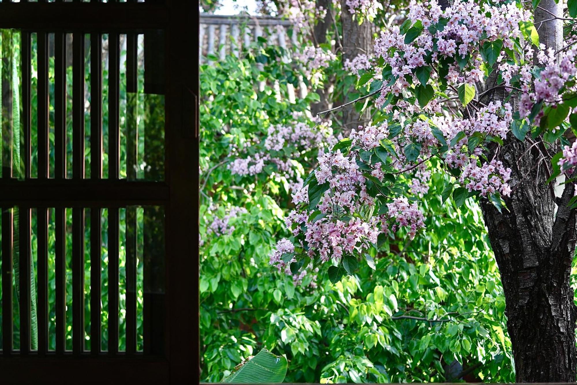 吾爱堂 * Lijiang (Yunnan)