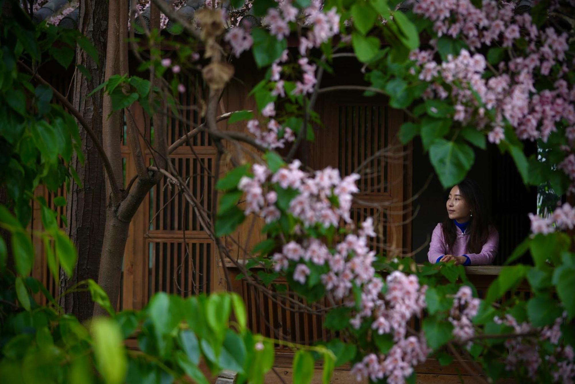 Homestay 吾爱堂 *